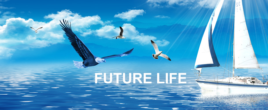 Pilot Future